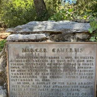 Near the cave entrance