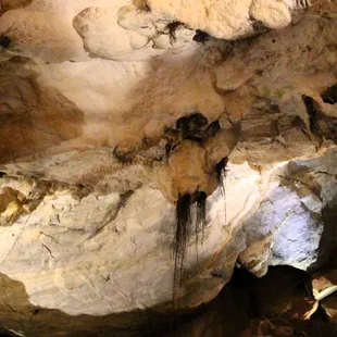 Rootsickle stalactites