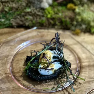 Black Trumpet Mushroom