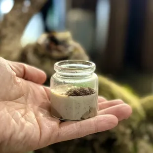 Shiitake Mushroom Parfait