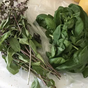 Super fresh Thai and sweet basil