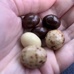 Chocolate covered coffee beans