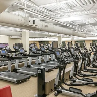 State of the Art Cardio Equipment