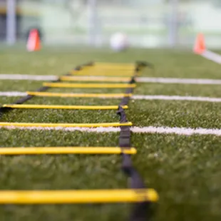 Sports Performance Powered by EXOS