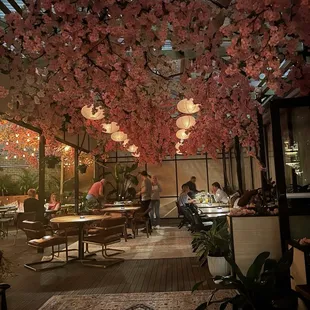 Cherry blossom garden