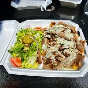 Gyro Plate