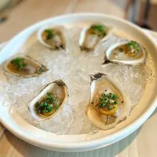 food, oysters and mussels, oysters, mussels, shellfish