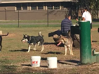 Dog Park in Andover Central Park