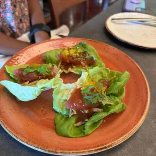 Yellowfin Tuna Wraps