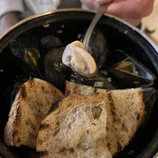 food, shellfish, oysters, oysters and mussels, mussels