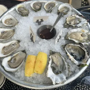 West Coast Oysters