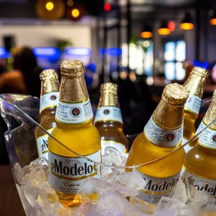 drink, oysters and mussels