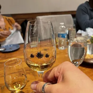 a person holding a glass of wine