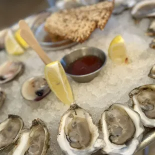 Oysters, Littleneck Clams, and Salmon Tartare