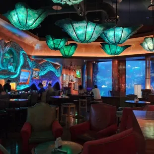 a fish tank in the background