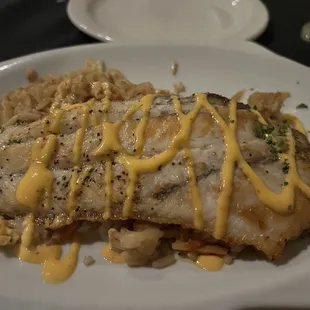 Barramundi