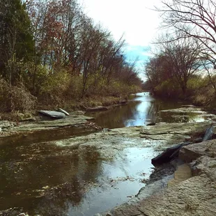 View by the river bank.  11/24/2017