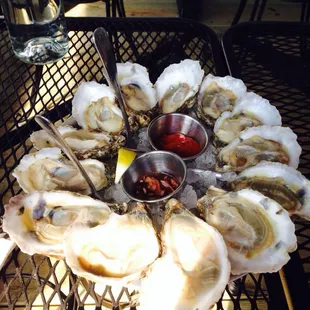 Oysters on the Half Shell