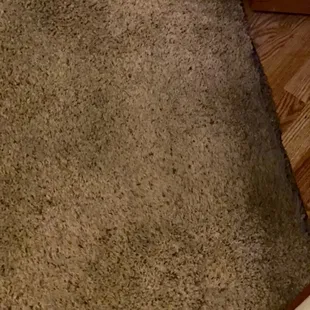 MASTER BR-CARPET NOT SHAMPOOED