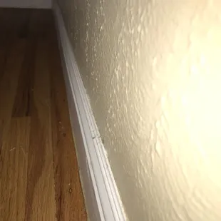 Didn't touch the floorboards in this room.