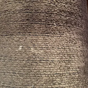 WET/DRY COUCH ARM W/STAINS STILL PRESENT