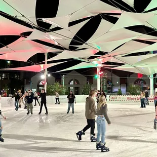 Winter Wonderland Ice Rink