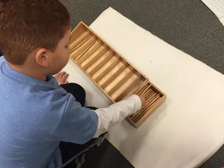 Little Blossom Montessori School