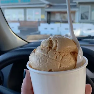 Single dip pumpkin ice cream; Walk up window to order
