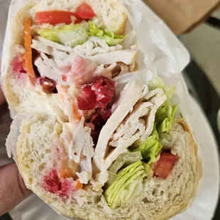 a person holding a sandwich