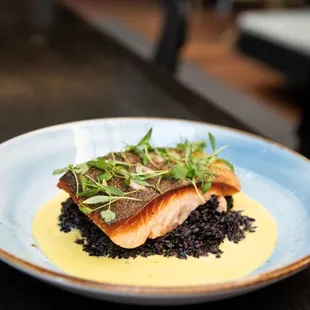new dish