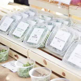 a variety of vegetables