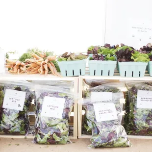 a variety of vegetables