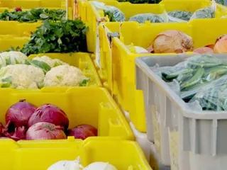 Farmers Market   The ASU Tempe Campus
