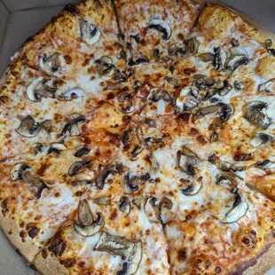 Mushroom pizza for $5.99