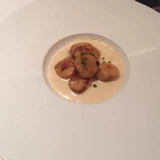 Scallops