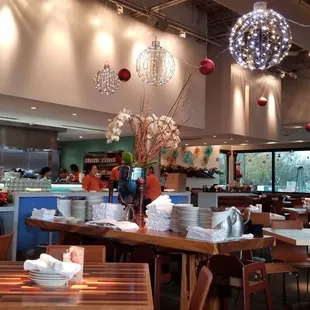 Dressed up for the holidays