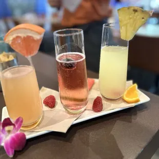 Mimosa flight