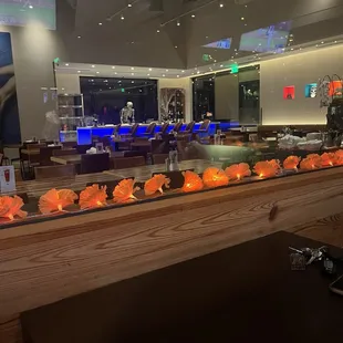 Holloween Decorations