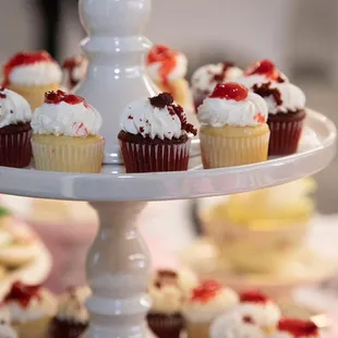 Mini Cupcakes