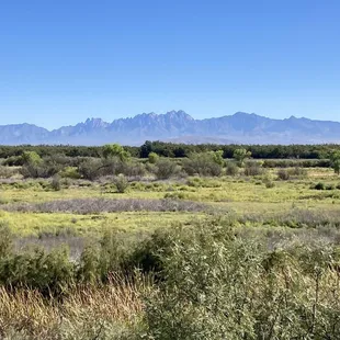 View towards the Organ Mtns from the Riverside overlook