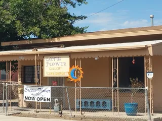 Cactus Flower Gallery