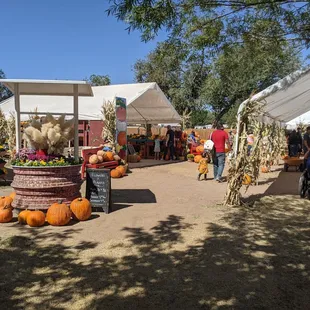 Pumpkins for sale
