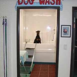Do it yourself dog wash available at MVPR!