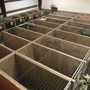 We updated our kennel tops to be more friendly to dogs with allergies.