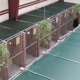 Our dog kennels. We recently removed the mesh tops with chain link to reduce dust and allergens.