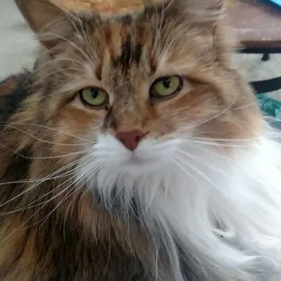 Maddie happy place ,for boading