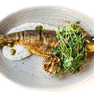 Mediterranean Branzino "À La Plancha", spicy zhoug, lemon herbed labneh