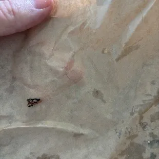 Hair found in sandwich