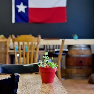 Don&apos;t mess with Texas