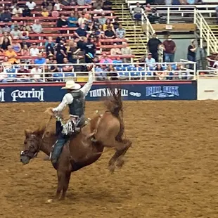 Bronc riding